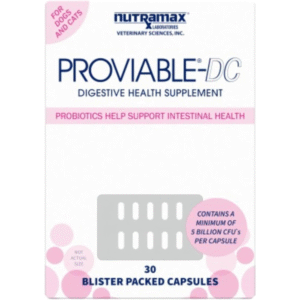 Digestive Health Supplement